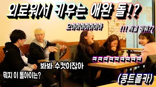 [Eng sub][Prank]That's your pet stone?? The college girls couldn't stop laughing! So funny!!
