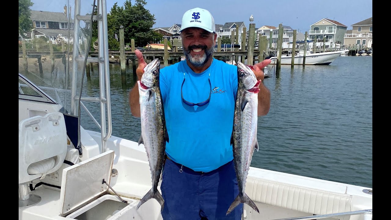 Big Spanish Mackerel?, Nope! King Mackerel! Albie, and Fluke