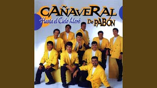 Video thumbnail of "Grupo Cañaveral De Humberto Pabón - Hasta El Cielo Lloró"