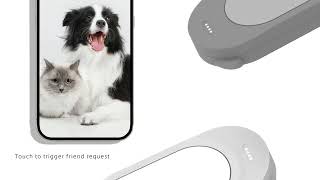 Full PetTap 宠伴 a  smart pet product with social attributes News