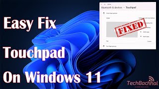 touchpad settings on windows 11 - how to fix