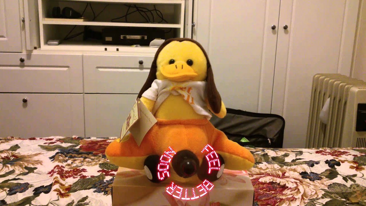 My Duck - Singer - YouTube