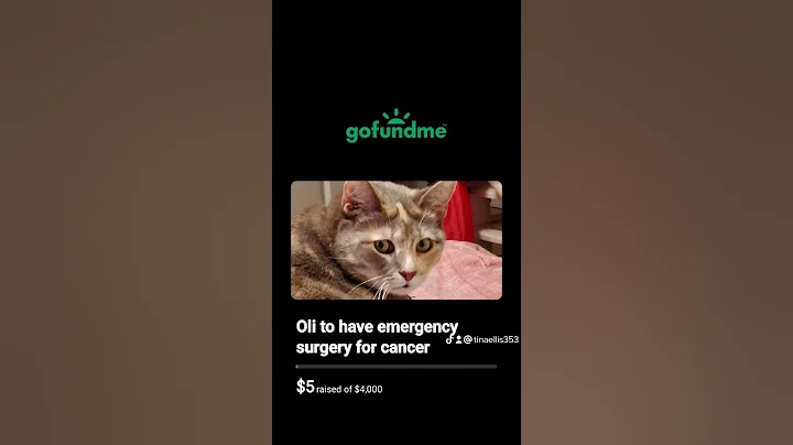 Please help I'm praying for a Christmas Miracle to...