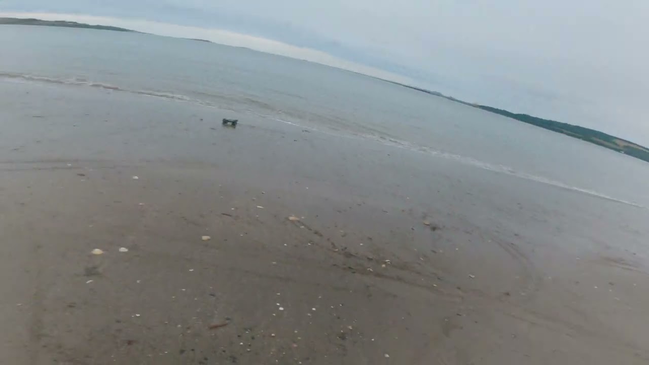 MJX 16207 - rc beach runs?  is it the fastest of the cheapest rc buggies out there?