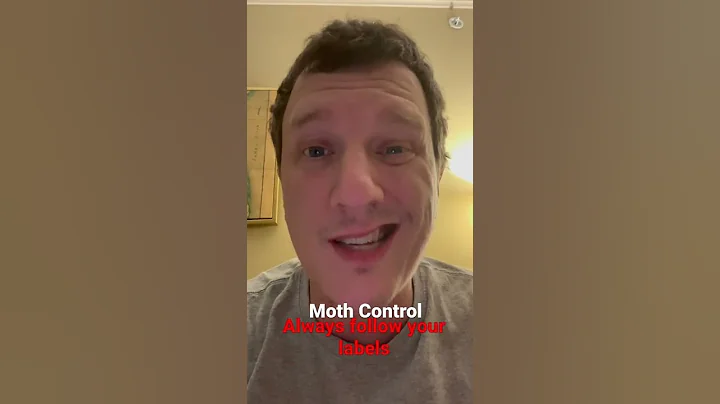 Moth Control - How to get rid of moths - DayDayNews