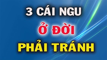 3 Cái Ngu Ở Đời Nên Tránh Càng Xa Càng Tốt - Cuộc Đời Giá Trị