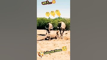 #shorts #ytshorts #youtubshorts #viralshorts #video #trends #vfx #vfxshorts