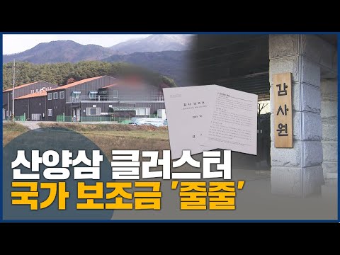 함양군 산양삼 클러스터 조성 위해 받은 <strong>국가보조금</strong> &amp;#39;엉터리 사용&amp;#39;