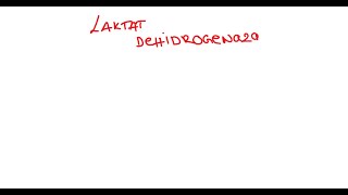 Laktat dehidrogenaza LDH
