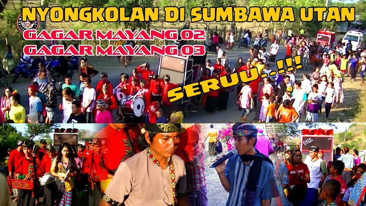 Nyongkolan seru di sumbawa utan bersama Gagar mayang 02 dan Gagar mayang 03