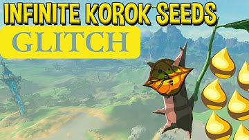Zelda BotW - Infinite Korok Seed Glitch - Menu Overload Glitch #botw #nintendo #glitch