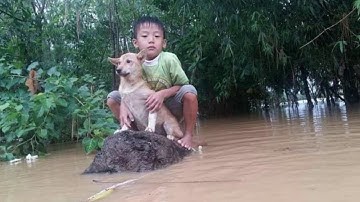 Miền Trung Thắt đau Từng Khúc Ruột Nước Lũ Dâng Lên lần 3 Tại Chiến khu Ba Lòng