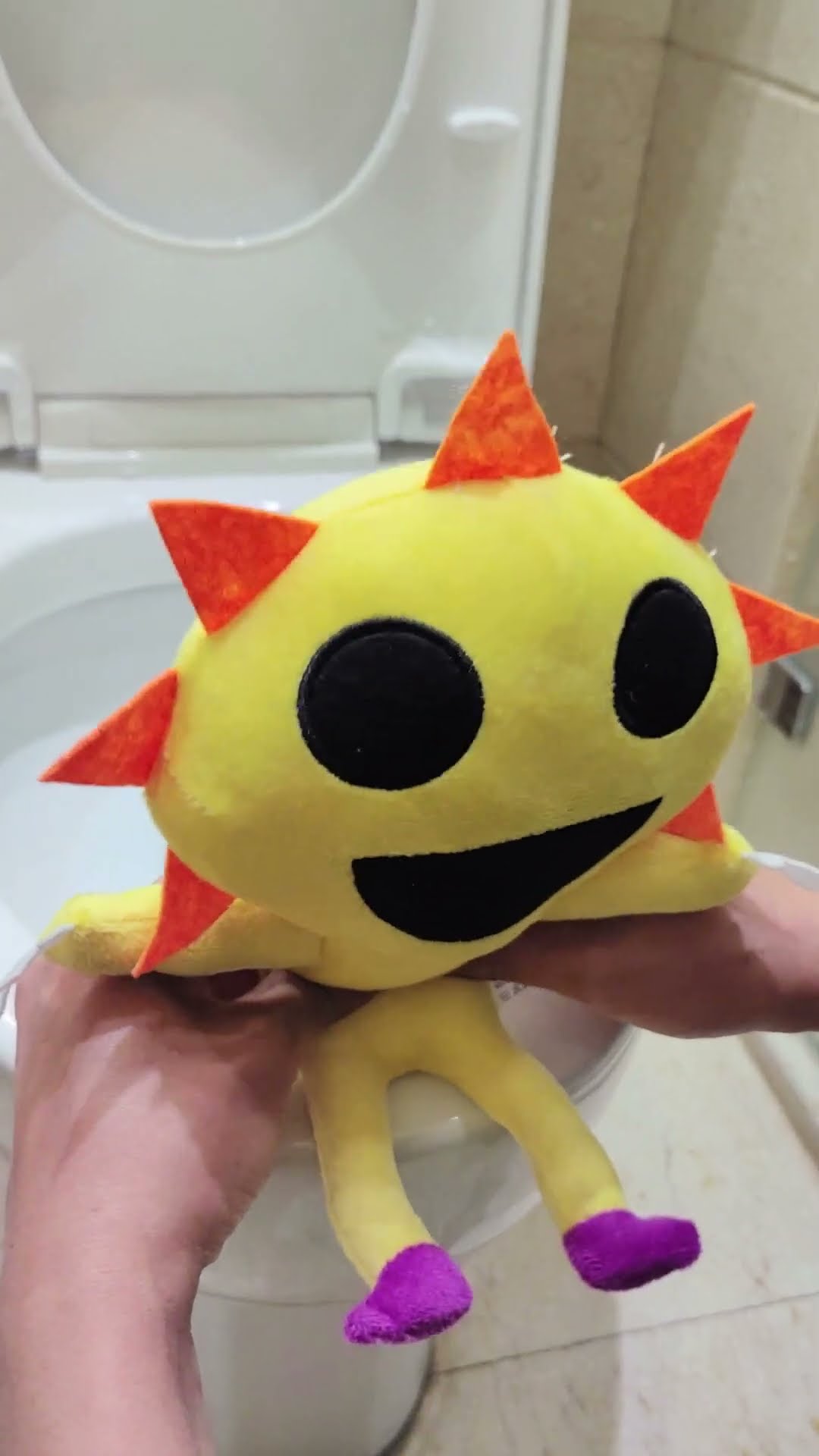 Mr. Sun in the toilet