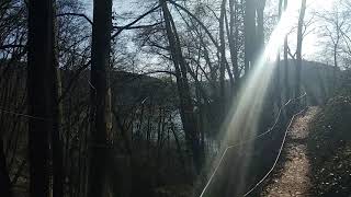 Margarethenschlucht, Neckargerach, Deutschland / Жемчужное ущелье в Некаргерахе, Германия