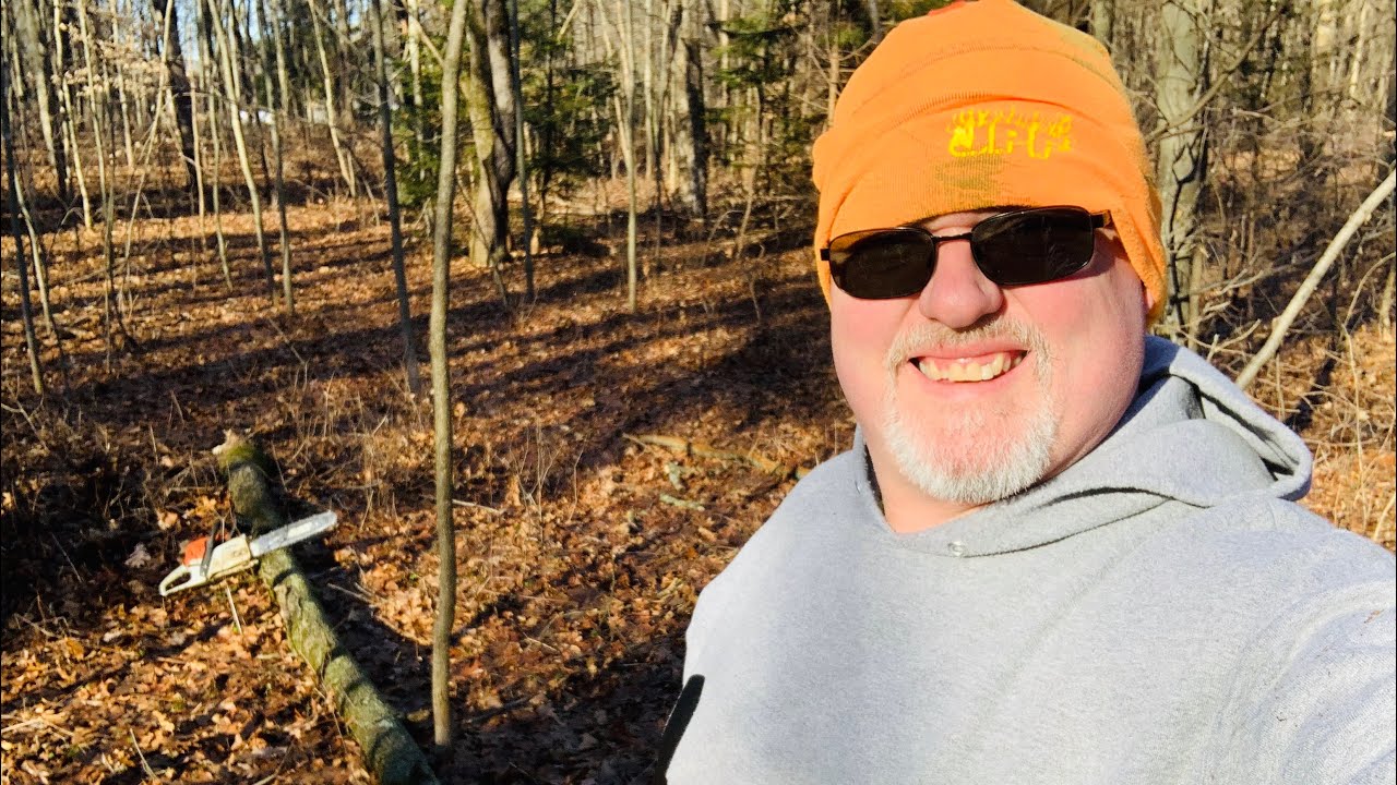 FIREWOOD - cutting 40’ tall fallen oak tree with Stihl chainsaw - YouTube