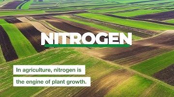BASF Nitrogen Stabilizers: Importance of keeping nitrogen on target in agriculture