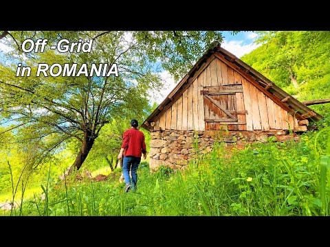 Creating an Off-Grid Paradise: Restoring a 107-Year-Old Stone Barn in the Carpathian Mountains 