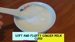 Soft and Fluffy Ginger Milk Curd: My 5-Minute-Ready Dessert screenshot 5