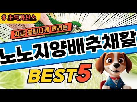 주방에서 자주 쓰는 노노지양배추채칼 TOP5
