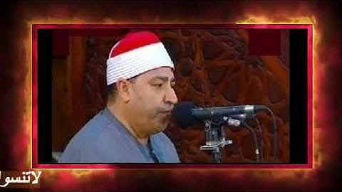 قران الفجر تلاوه قرانيه من سوره فصلت لفضيله القارئ الشيخ محمد محروس طلبة 12-- 8-- 2024م
