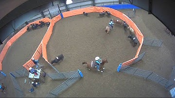 Big Sky Ranch Sorting Saddle Series #3 - Open H/C - Round #1 - Ride #18