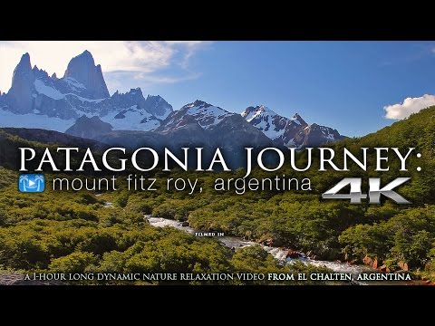 Videó: Vadon élő állatok Nézése Patagonia Valdes-félszigeten, Argentína