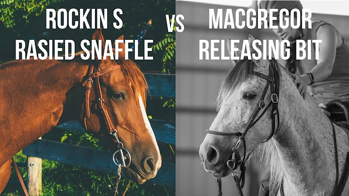 Rockin S Raised Snaffle vs MacGregor Releasing bit...