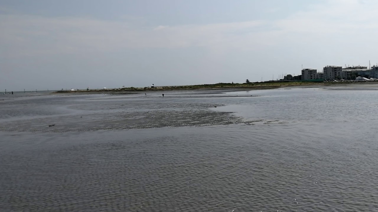 Lignano Sabbiadoro Hundestrand