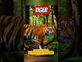 Guess the Animal Sound! #shorts #animals #kidslearning  #tiger #facts