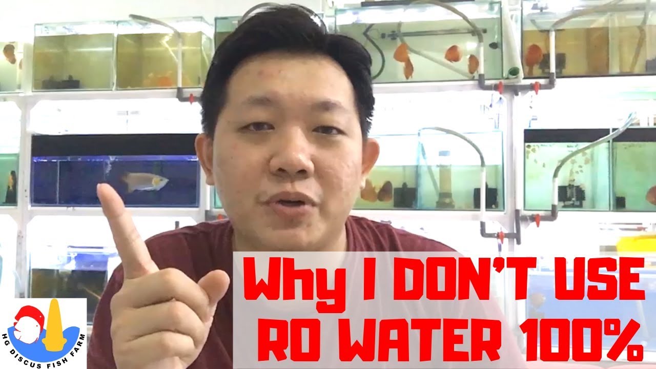 Why I don't Use 100 RO (Reverse Osmosis) Water for my Discus Fish
