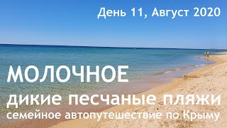 Молочное - отдых дикарем! День 11. Семьей по Крыму на машине.