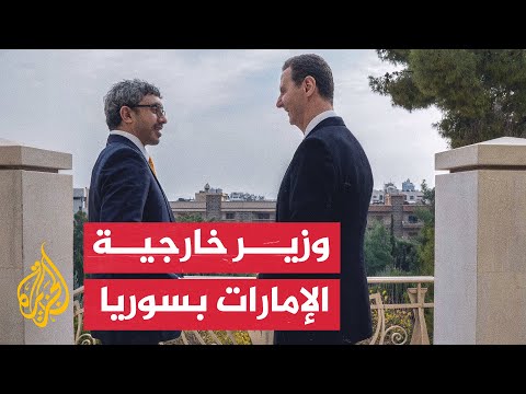 شاهد| بشار الأسد يستقبل وزير الخارجية الإماراتي عبد الله بن زايد في دمشق
