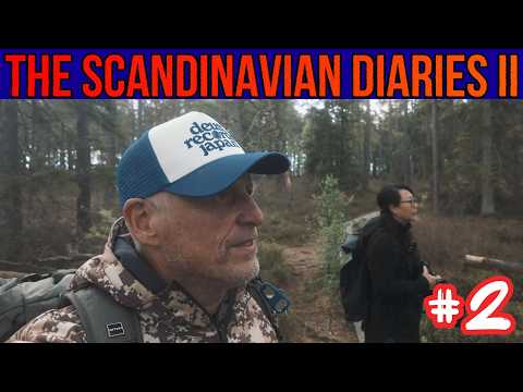 Angst vor der 1. Nacht in Schweden & Nationalpark Geheimtipp? - Scandinavien Diaries II - Teil 2