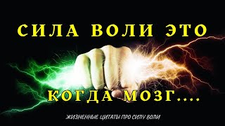 Как развить силу воли. Цитаты мотивация!!!