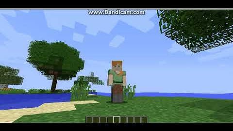 Tutorial MorePlayerModels Mod