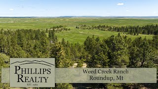 New Montanan Ranch For Sale | Weed Creek Ranch | Roundup, Mt