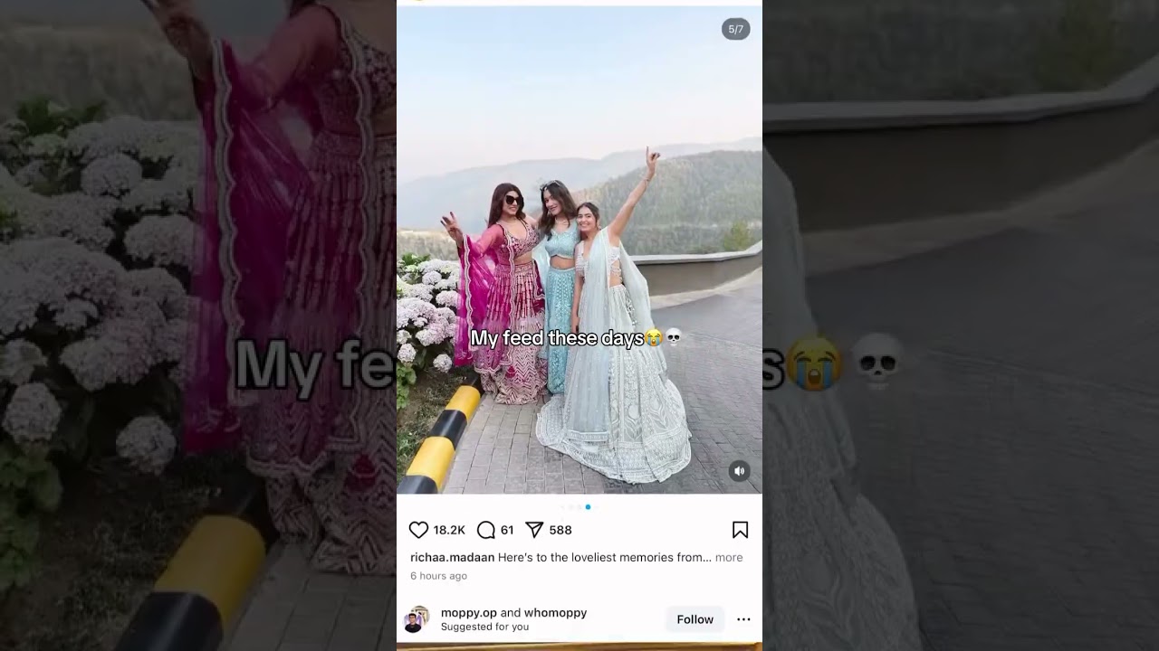 My feed nowadays 😔😭 