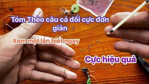 Tóm Thẻo Câu Cá Đối Bằng Mồi Bột – Cực Đơn Giản, Cực Hiệu Quả | Xem Một Lần Là Biết!