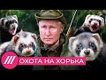 Путин против «хорьков»: кого президент считает вредителями? // Нюансы с Юлией Таратутой