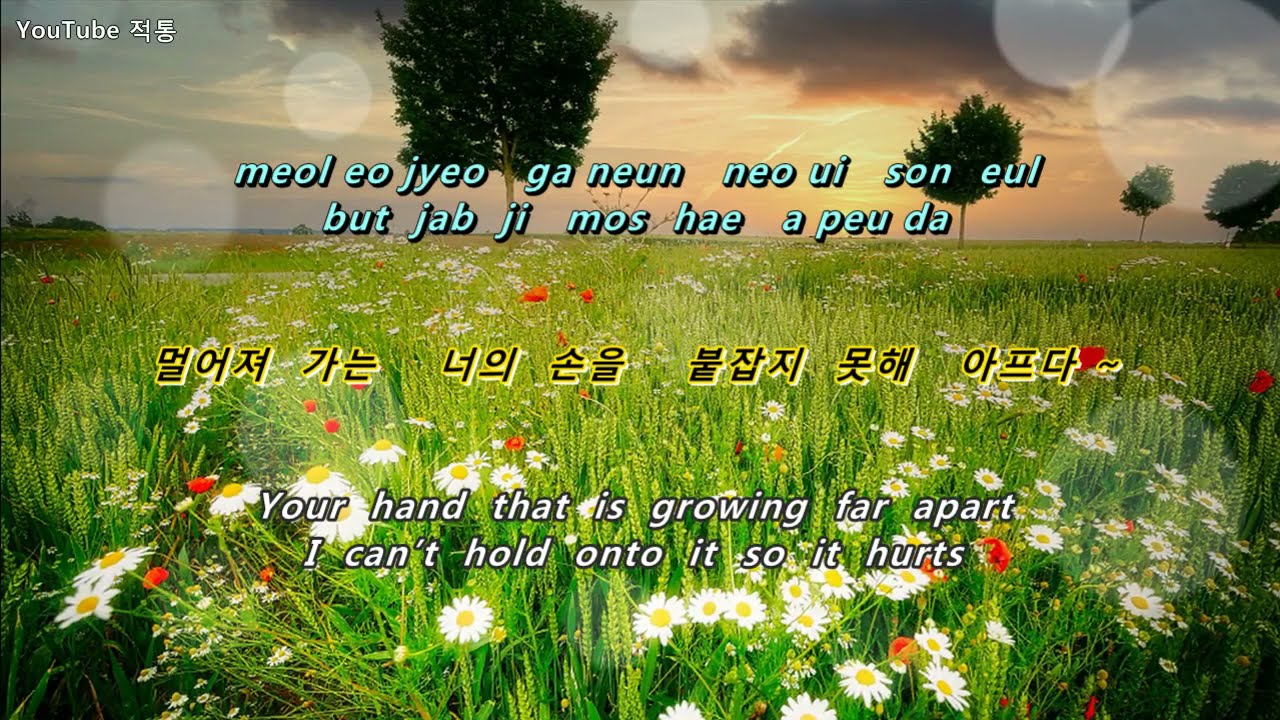(신청곡)[kpop] ♬ 야생화 (Wild Flower) 박효신 (Park Hyo Shin) [Eng sub] YouTube