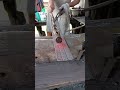 divide the iron according to the farming tools to be made. #art #trending