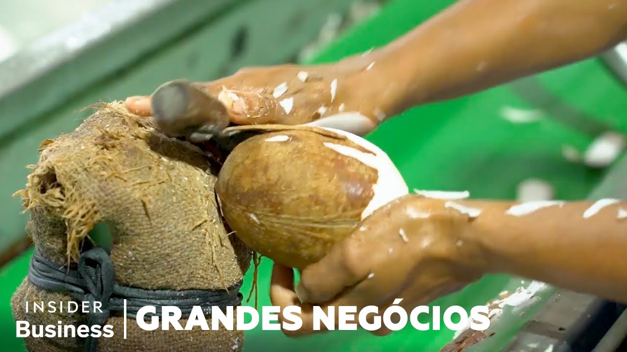 Por que Fazendeiros de Coco Arriscam a Vida pelos Superalimentos | Grandes Negócios