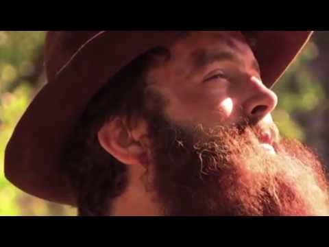Biography of John Muir