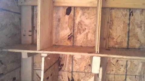 The pigeon loft is done (29)