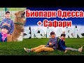 Влог! Биопарк Одесса сафари! Зоопарк в Одессе! Куда пойти с детьми