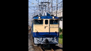 【単8935／宇都宮配給牽引機送り込み】EF65 1115 [尾]