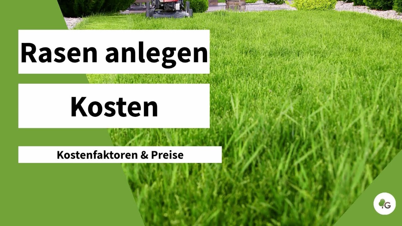 Rasen anlegen Kosten  Wie viel kostet ein neuer Rasen?