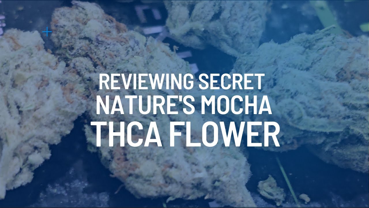 Smoking Chocolate Banana Smoothies? (Secret Nature Mocha THCa Review)