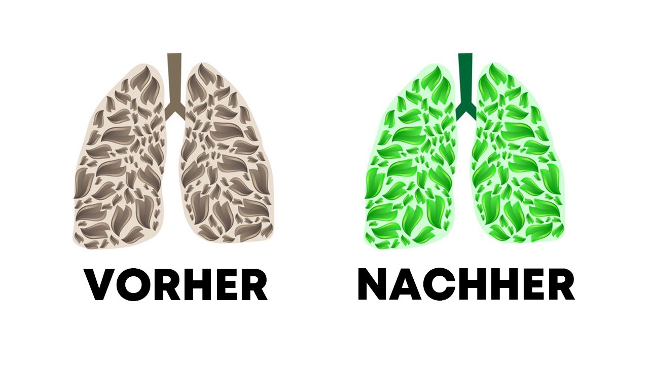 5 Getränke, die deine Lungen entgiften!
