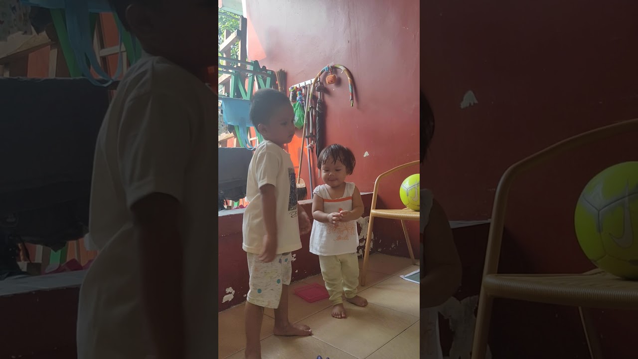 The animal songs - YouTube